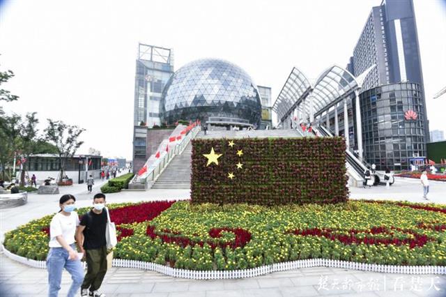 |国庆来武汉偶遇朵朵幸福小花吧！千万盆草花夹道欢迎，百余处街景缀花醉你心……