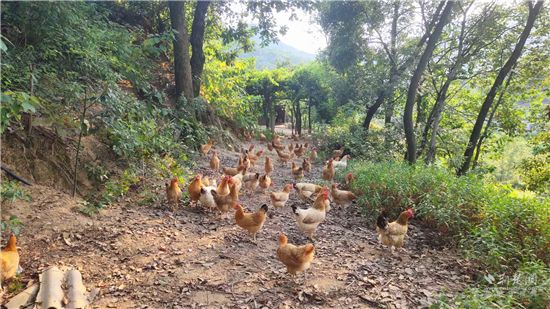 |就业扶贫看鄂州（10）精准脱贫户刘义松：昔日贫困户，今日“带头人”