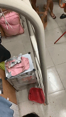 |神评论|牙医：说出来你可能不信，我曾经是一个歌手