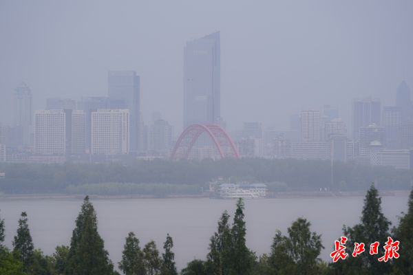 淡淡的雨雾笼罩着江城 长江大桥上的游客在桥面上一睹城市美景(图3)