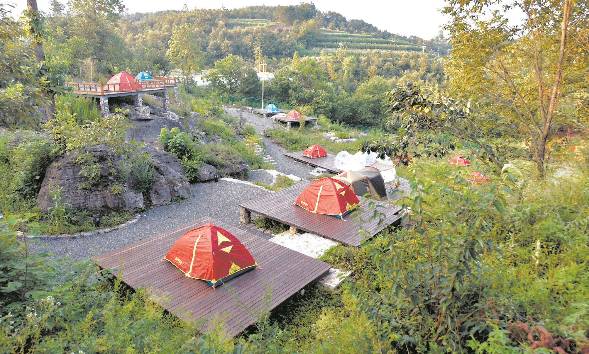 如果周末去各地的郊野公园或景区,你会发现,越来越多的野营帐篷正遍地