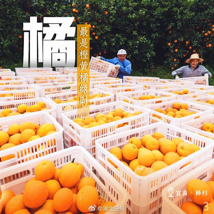 |一周一字丨啊！丰收的喜悦，击中了我
