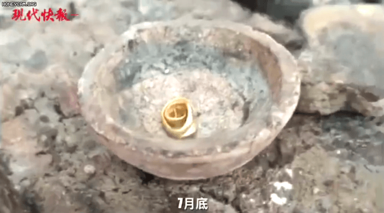 1号站官网神评论|来自喵星人的牵挂