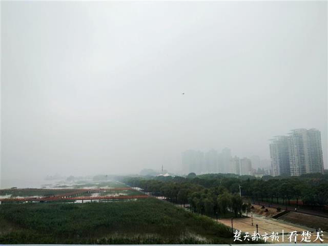 |雾弥江城