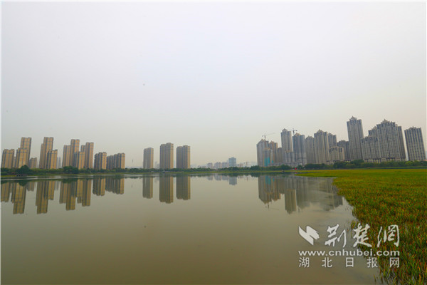 |从劣V类到IV类 武汉市杨春湖水质变化有秘诀