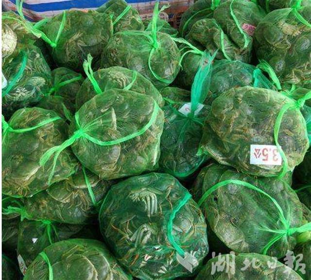 |最近螃蟹降价了！中秋节前本地螃蟹大量上市