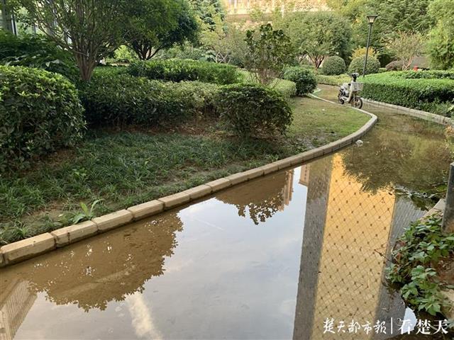 |地铁站口水漫人行道，原是绿化用水管道渗漏