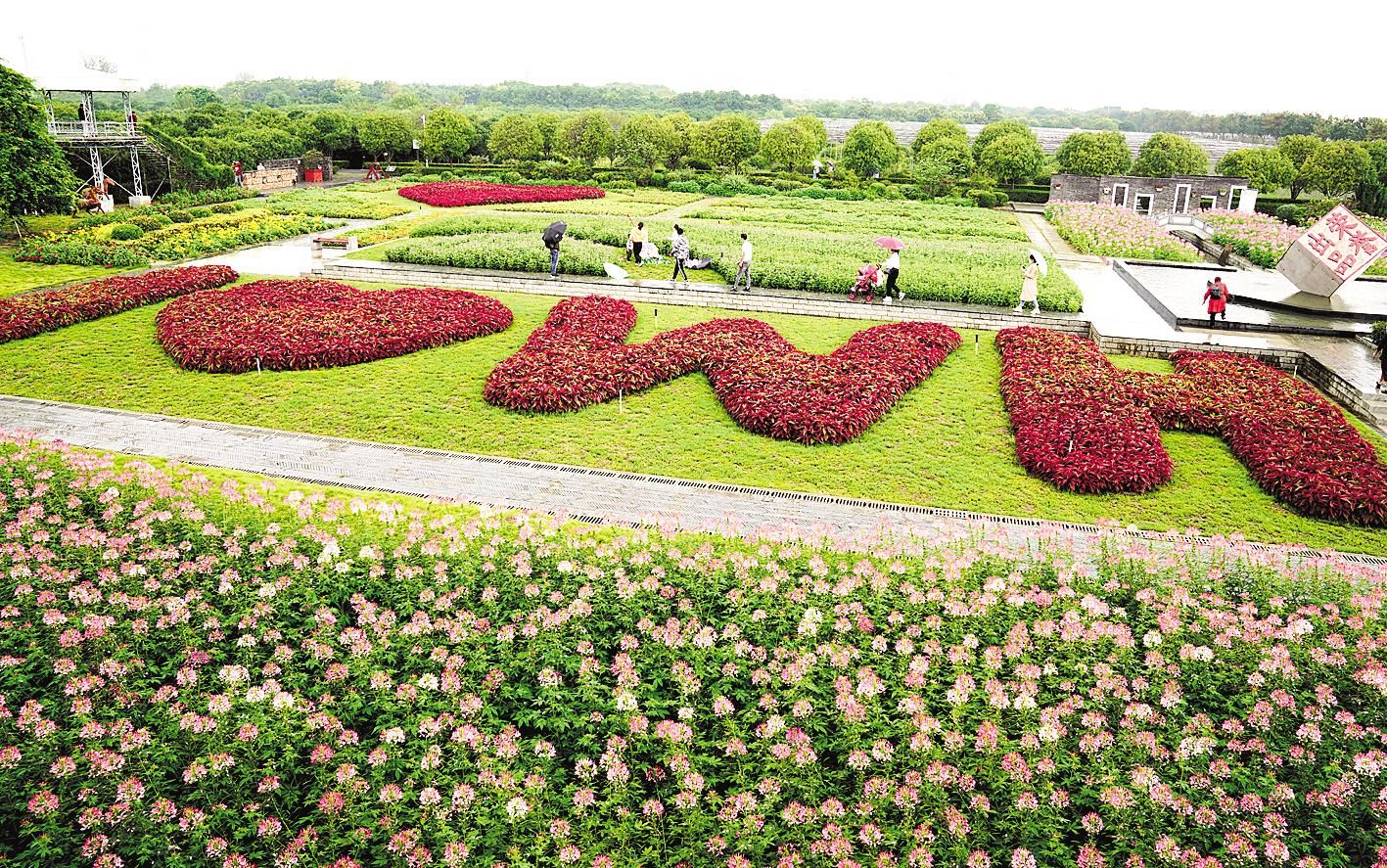 |武汉郁金香主题公园2020年秋季百花展开幕
