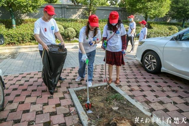 |护1063公里长江岸线！湖北开展净滩行动
