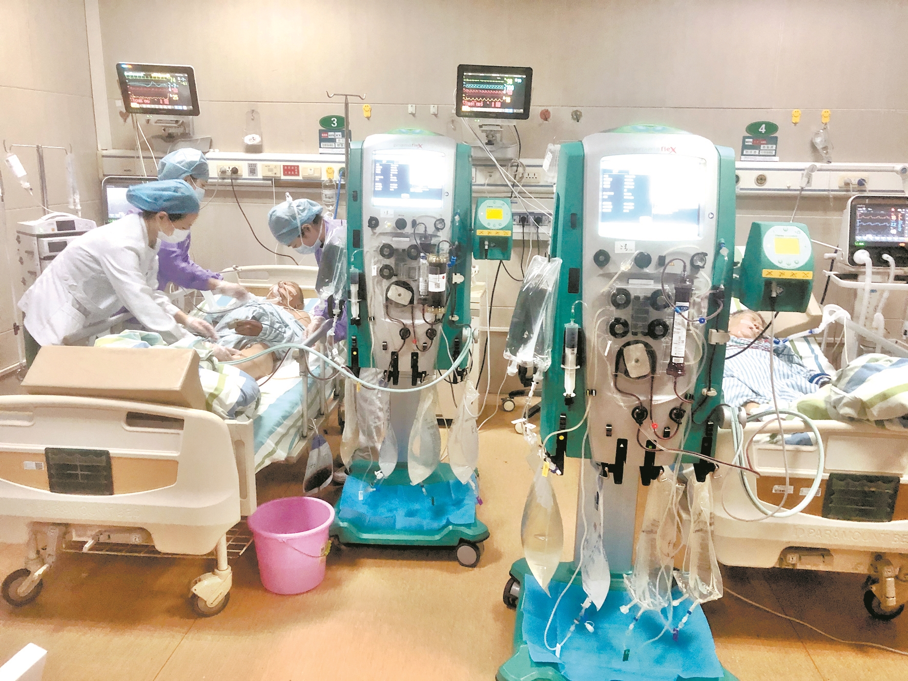 |两只毒蘑菇放倒黄梅老夫妻 连夜送武汉大学中南医院抢救仍生命垂危