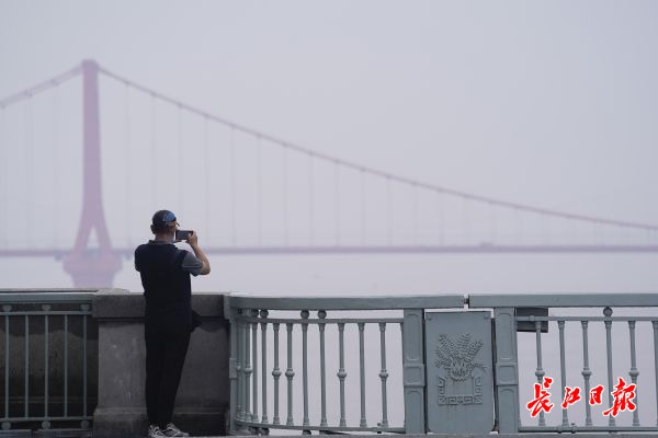 淡淡的雨雾笼罩着江城 长江大桥上的游客在桥面上一睹城市美景(图4)