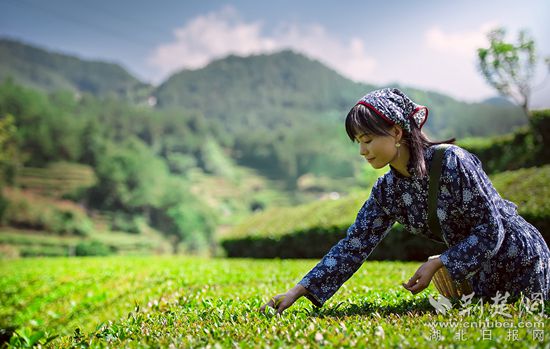 |云上“一节一会”（6）英山：云上办节会，企业信心足