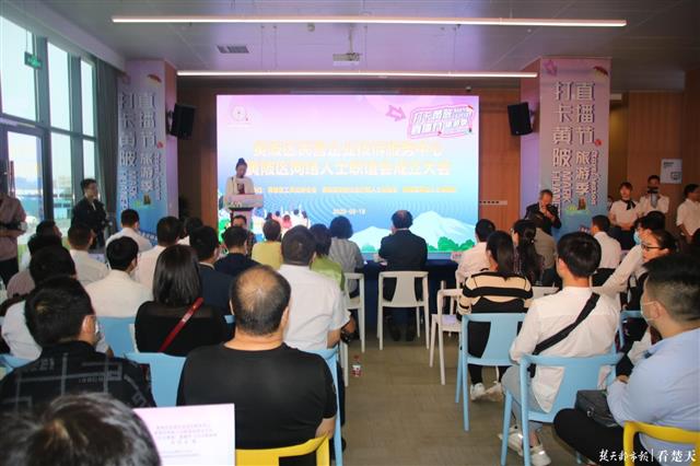 |服务辐射四个片区，网上通道快速畅通！黄陂区成立民营企业投诉服务中心