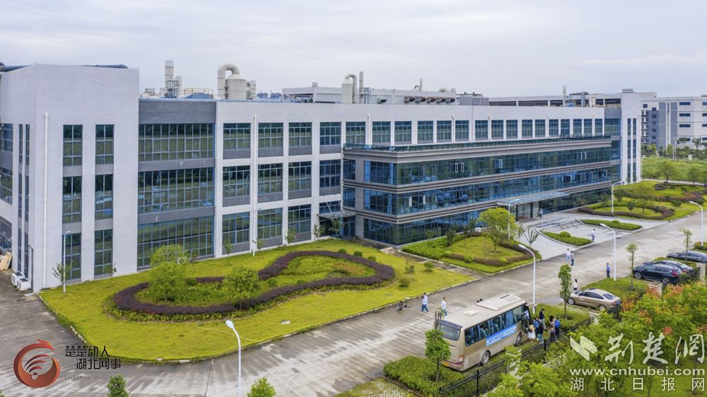|【中部崛起势正劲·湖北篇】西普电子：黄石高质量发展的示范样本