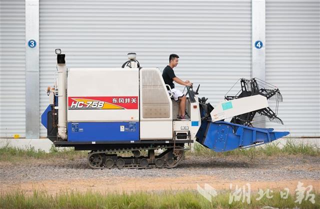 |采茶、嫁接果树、开拖拉机……高校学子实验忙