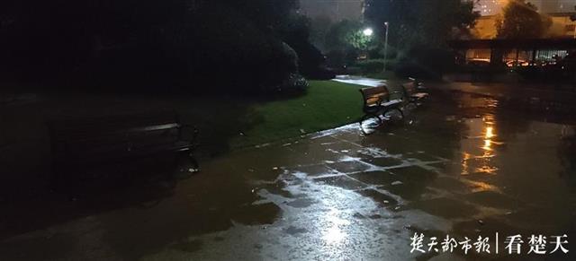 |小区夜发血案四人受伤，民警现场抓获多名涉案人员