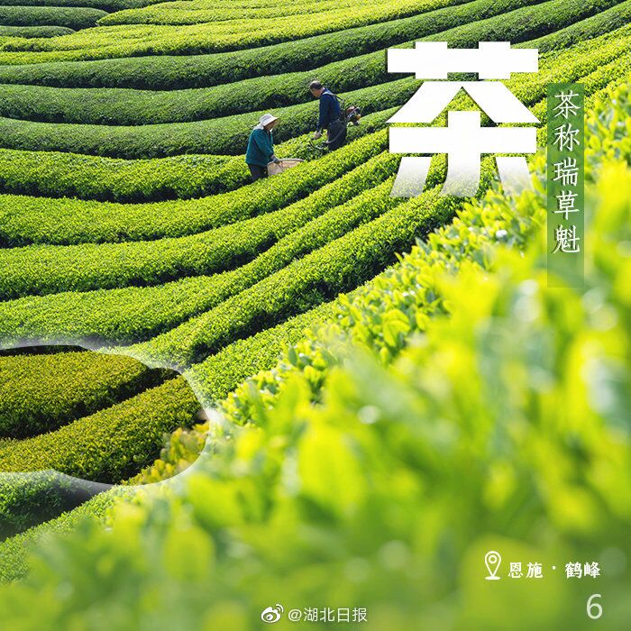 |一周一字丨啊！丰收的喜悦，击中了我
