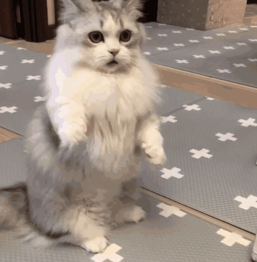 |【9月15日】神评论|一种专治密集恐惧症的海鲜