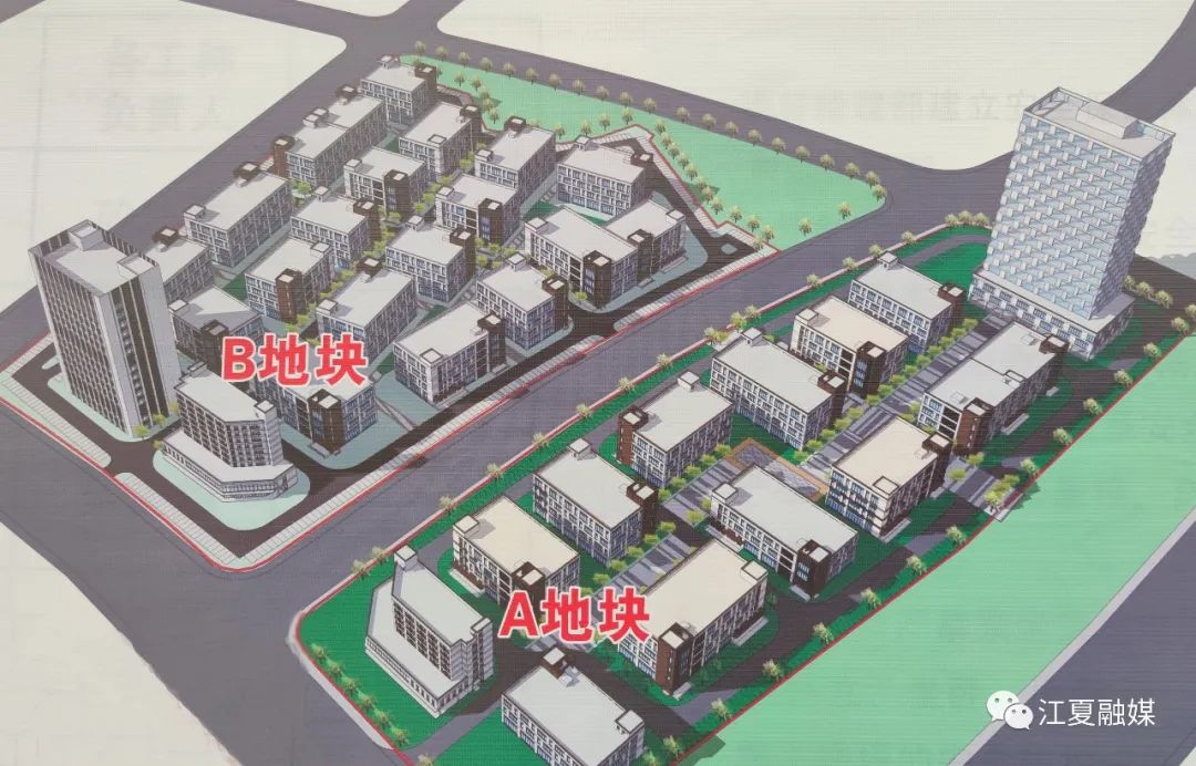 |江夏区委书记王清华调研光谷南大健康产业园现场推进园区建设工作