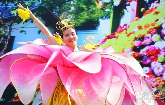 |麻城菊花产业系列产值达30亿元 全年开发新品将超800款