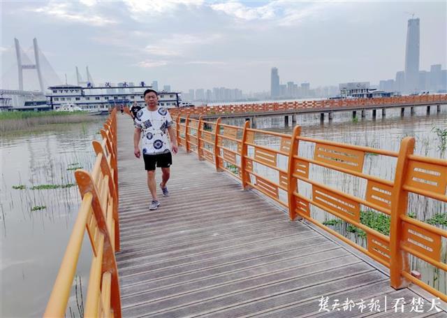 |晚风吹芦花，栈道信步长，汉口江滩观芦花栈道重开放
