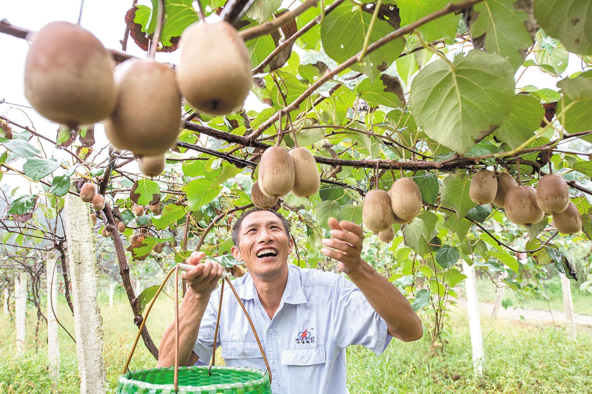 |幕阜山区走上绿色脱贫路