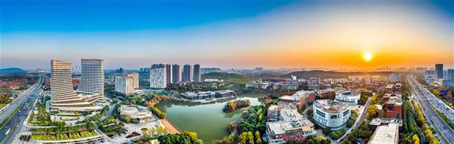 钟南山携“抗疫天团”开讲，第十三届中国生物产业大会明日在汉召开