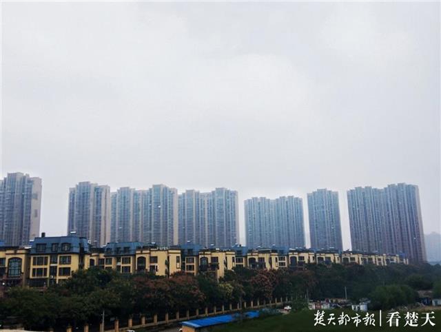 |雾弥江城
