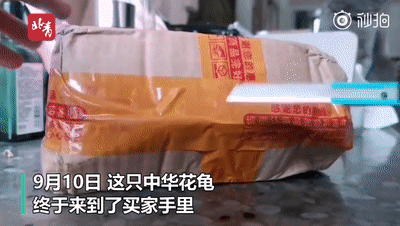 |【9月15日】神评论|一种专治密集恐惧症的海鲜