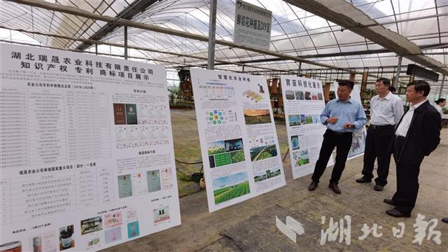 |湖北省科技厅在大冶举办对接会 推动创新要素与产业发展深度融合