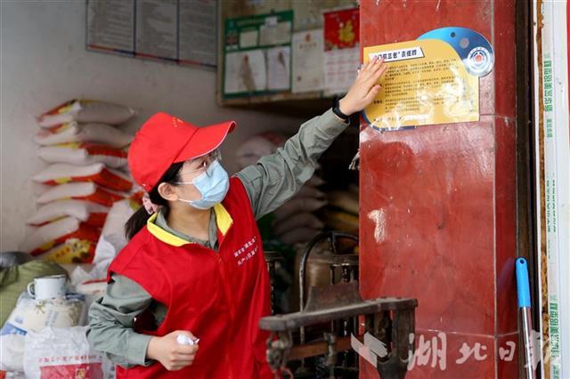 |湖北电网1.8万名党员下沉社区 发挥专业优势 排解用电难题