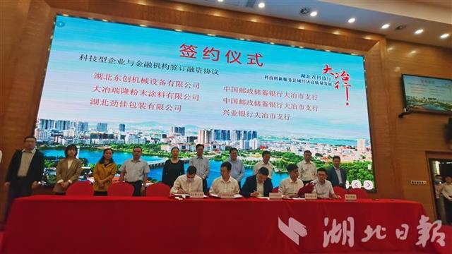 |湖北省科技厅在大冶举办对接会 推动创新要素与产业发展深度融合