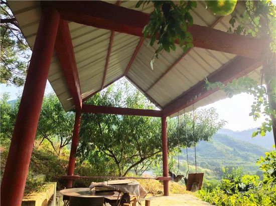 |就业扶贫看鄂州（10）精准脱贫户刘义松：昔日贫困户，今日“带头人”