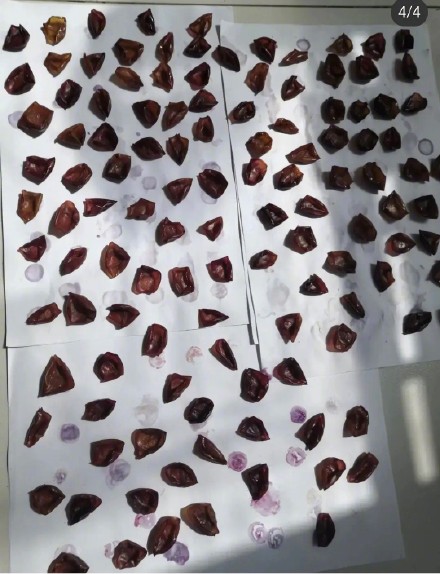 |神评论丨吃葡萄不吐葡萄皮，晒葡萄只剩葡萄皮