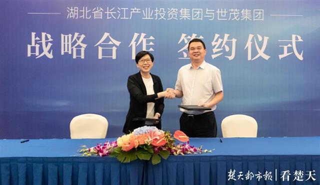 |世茂集团与湖北省长投集团举行战略合作协议签约仪式