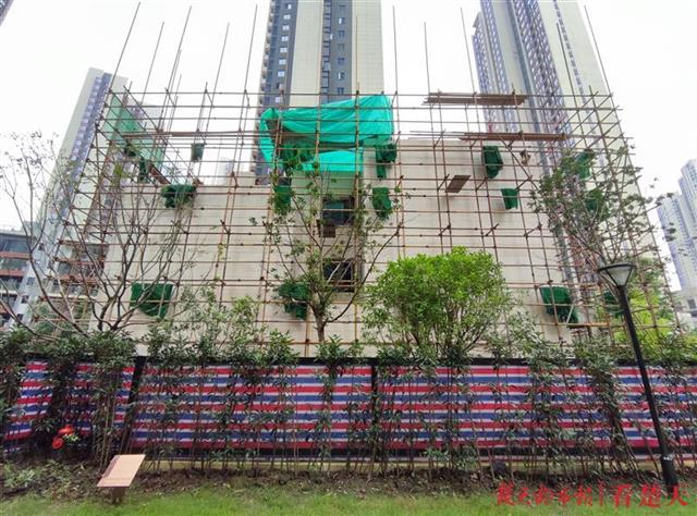 |多栋联排别墅私自扩建，武汉规划部门发话：恢复！