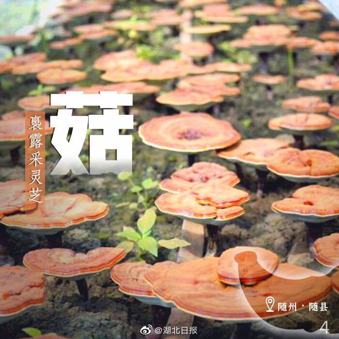 |一周一字丨啊！丰收的喜悦，击中了我