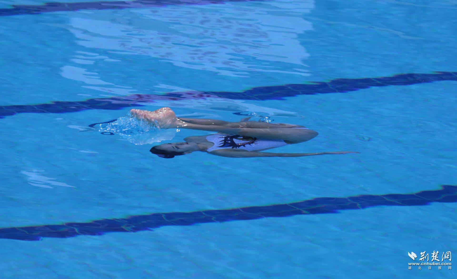 |备战东京奥运！2020年全国花样游泳锦标赛在武汉开赛（组图）