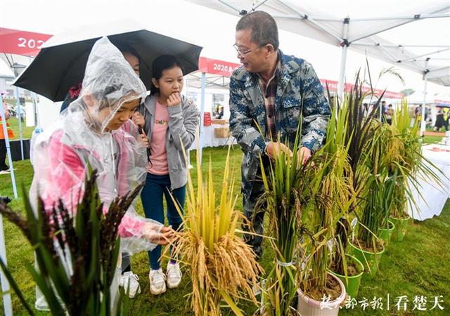 秋雨浇不灭的热情！武汉欢庆中国农民丰收节(图5)