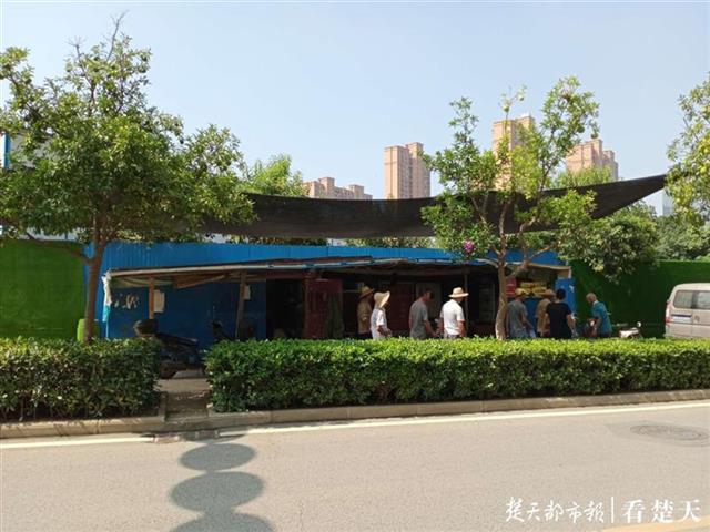 |暖心！修车摊占道经营20年，城管没有一拆了之，还助七旬老人易地重开张