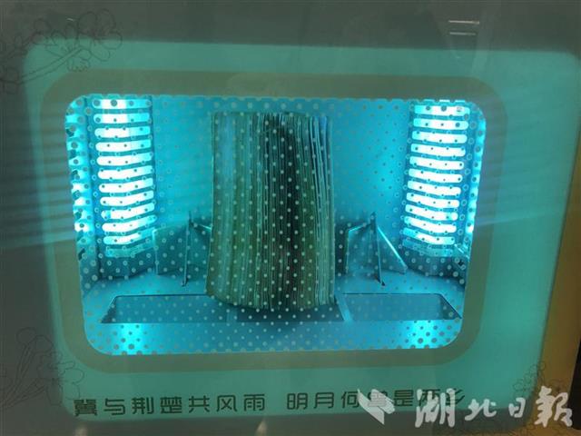 |武汉大学图书馆真“热闹”所有座位需提前预约