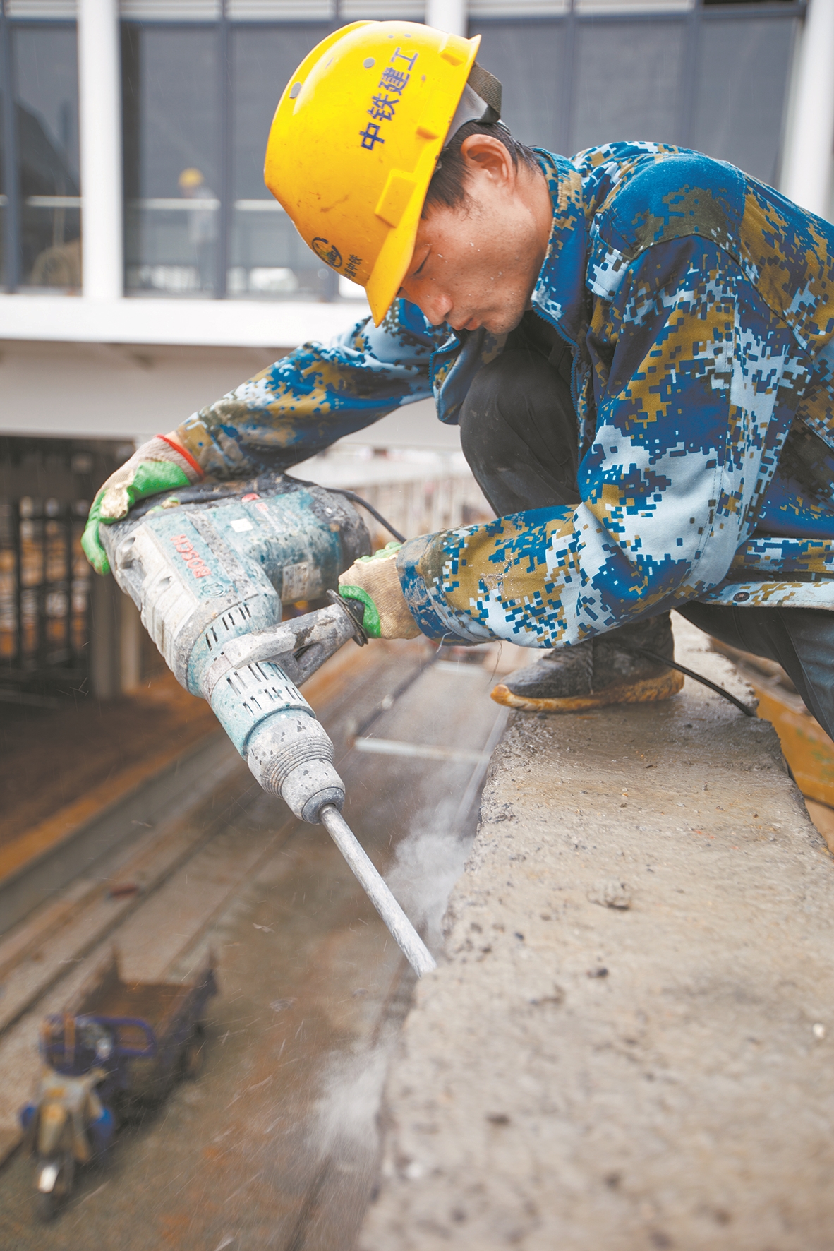 |武汉东站露芳容