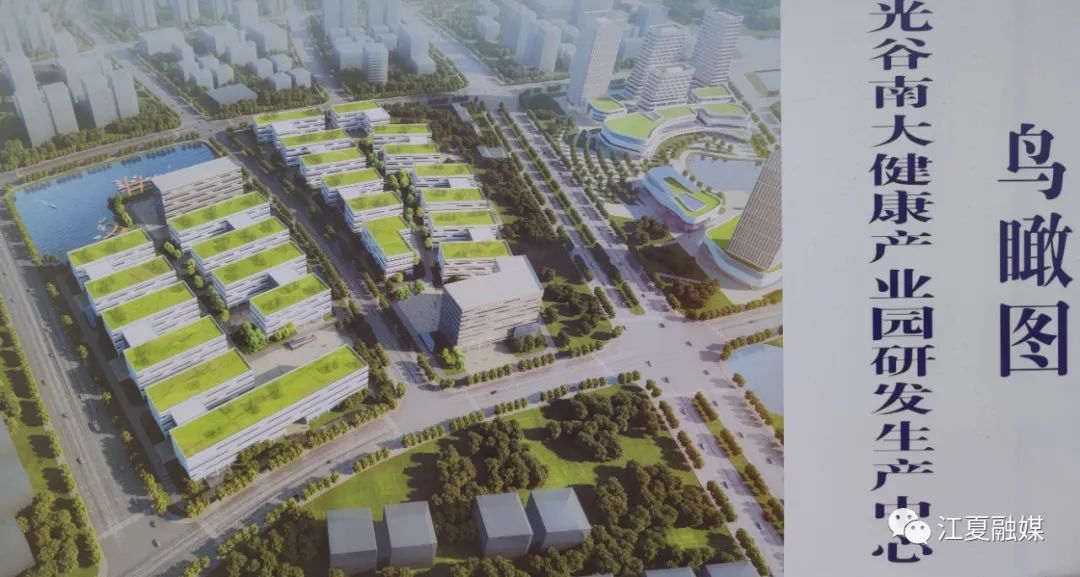 |江夏区委书记王清华调研光谷南大健康产业园现场推进园区建设工作