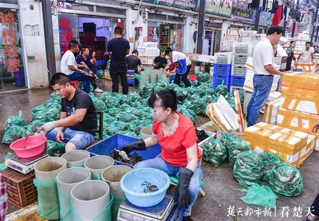 武汉哪里买海鲜便宜又新鲜？汉阳汉口武昌最大的水产品海鲜批发市场在哪里(图1)