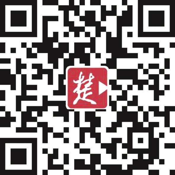 |搜救犬，好样的！