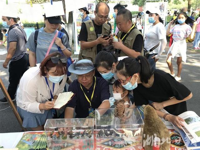 |入园人数创新高！逾万人打卡武汉这堂自然教育课