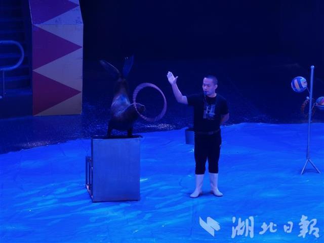 |2020大马戏嘉年华开演：老元素，新演绎，经典重现惹人醉