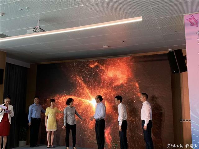 |服务辐射四个片区，网上通道快速畅通！黄陂区成立民营企业投诉服务中心