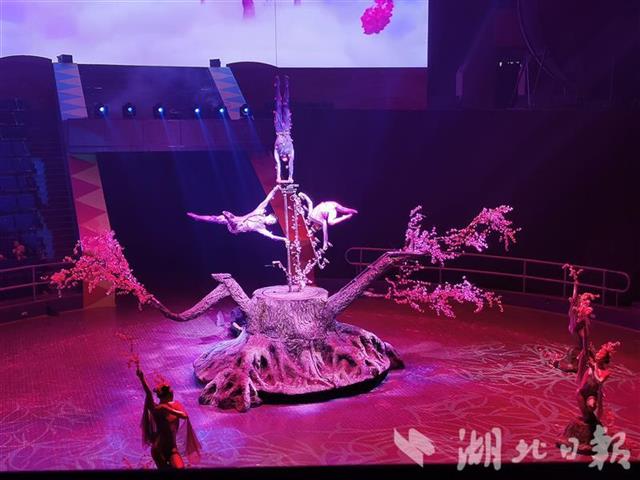 |2020大马戏嘉年华开演：老元素，新演绎，经典重现惹人醉