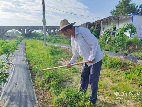 |就业扶贫看鄂州（8）鄂州市樟树岭村：发展产业奔小康